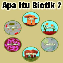 Komponen Ekosistem Biotik Dan Abiotik Beserta Contoh Dan Fungsinya - Riset