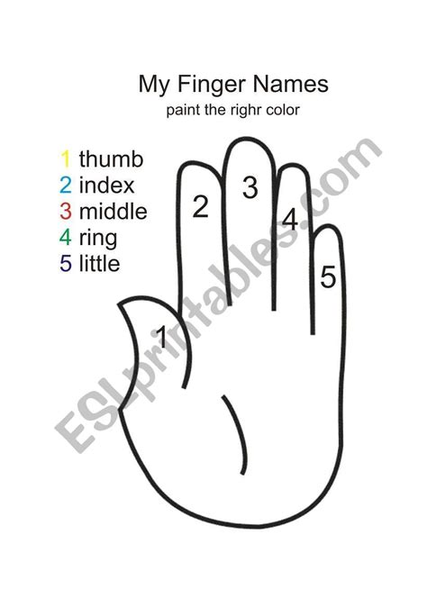 Finger Names Esl Worksheet By Juanin Alberto