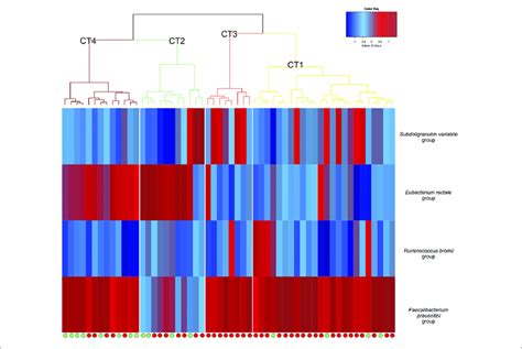 Hierarchical Clustering Of The Relative Abundances Of Each CAZyme