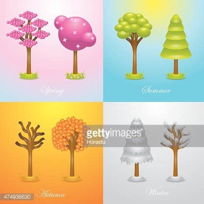 Tree In Four Season Stock Vector Royalty Free Freeimages