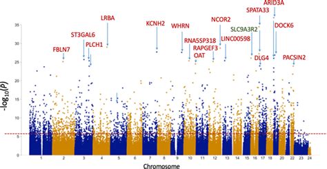 Manhattan Plot Of Differentially Methylated Cpgs Between Vlbw Cases And