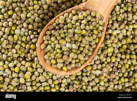 Vigna Radiata Raw Organic Green Mung Beans Stock Photo Alamy