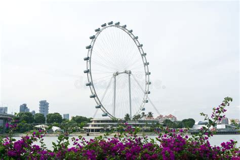 The Singapore Flyer Ferris Wheel in Singapore City Editorial ...