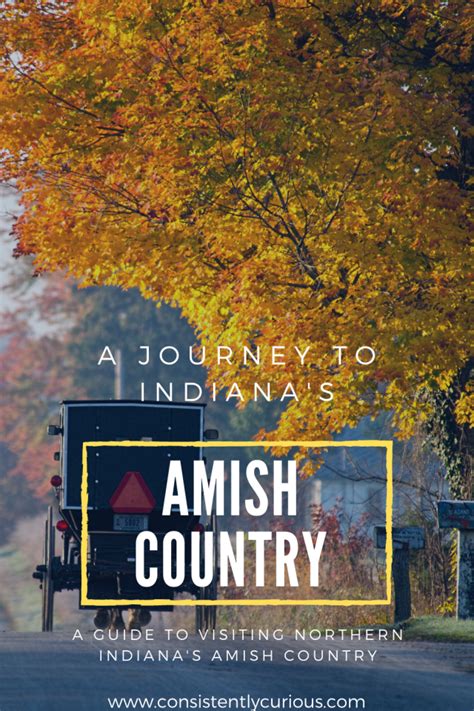 7 Amish Experiences To Have During Your Trip To Indiana Amish Country