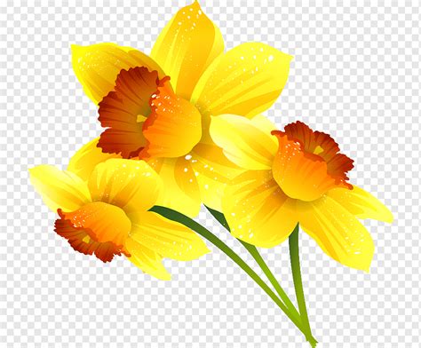 Daffodil Google Slides Flower Digital, others, game, orange, amaryllis ...