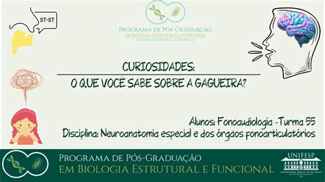 Afinal O Que A Gagueira Gagueira Anatomia Fonoaudiologia Youtube