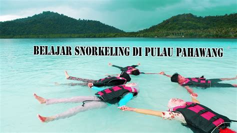 Tips Snorkeling Bagi Pemula Di Pahawang Dan Tegal Mas Lampung Youtube