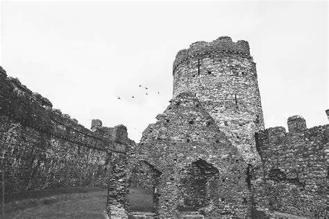 Birds At Kidwelly Castle Del Colaborador De Stocksy Jen Grantham