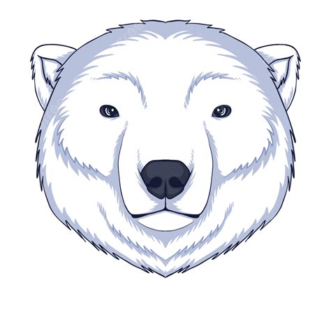 Baby Polar Bear Vector Png Images Polar Bear Head Vector Illustration