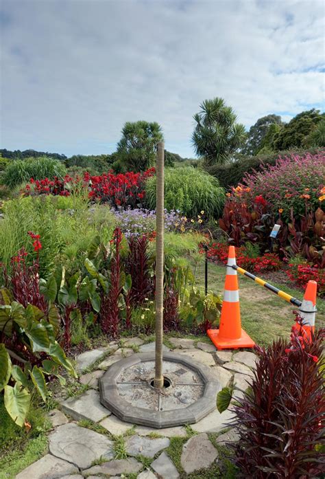 Bronze sculpture targeted at Auckland Botanic Gardens - OurAuckland