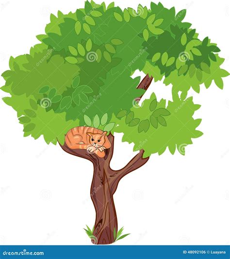 Cat on a tree stock vector. Illustration of domestic - 48092106