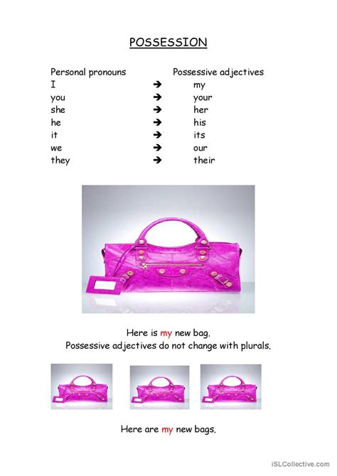 Possessive Adjectives English Esl Worksheets Pdf And Doc