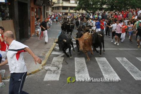 Noticias de La Vall d Uixó Empiezan las exhibiciones taurinas de Les