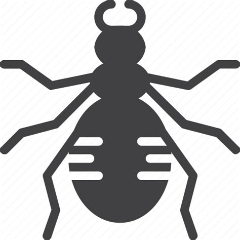 Beetle Bug Insect Icon