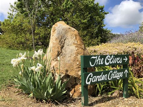 olives garden restaurant 3