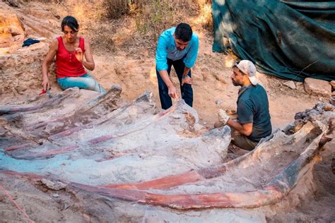 The Philippine Star On Twitter Remains Of Large Dinosaur Skeleton