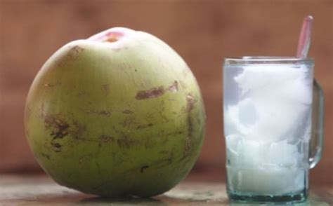 Resep Air Kelapa Plus Bahan Ini Dari Dr Zaidul Akbar Bisa Atasi