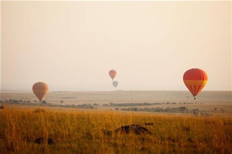 magic. a hot air balloon ride over the Masai Mara | Hot air balloon ...