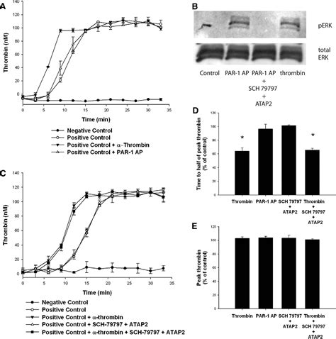 Figure 2 From Activation Of Protease Activated Receptors 3 And 4