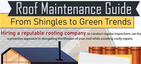 Roof Maintenance Guide From Shingles To Green Trends