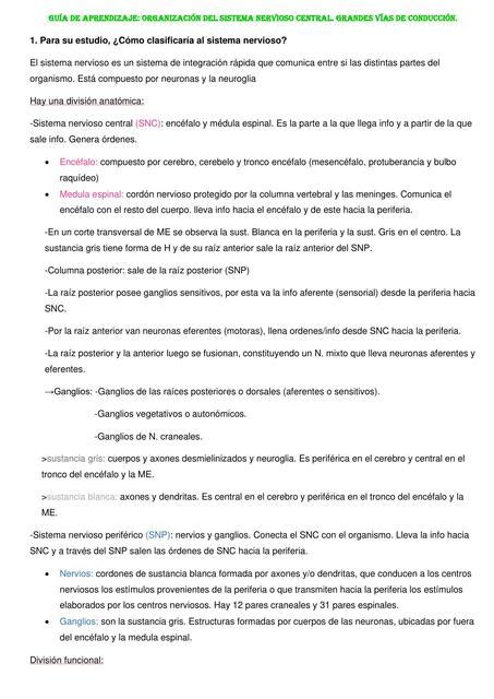 Médula Espinal Tronco Encefálico Cerebelo Meninges Sistema