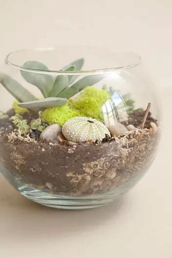 Learn How To Make Terrariums For Your Wedding Artofit