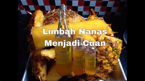 Limbah Kulit Nanas Bisa Jadi Cuan Jualan Minuman Kesehatan Tepache