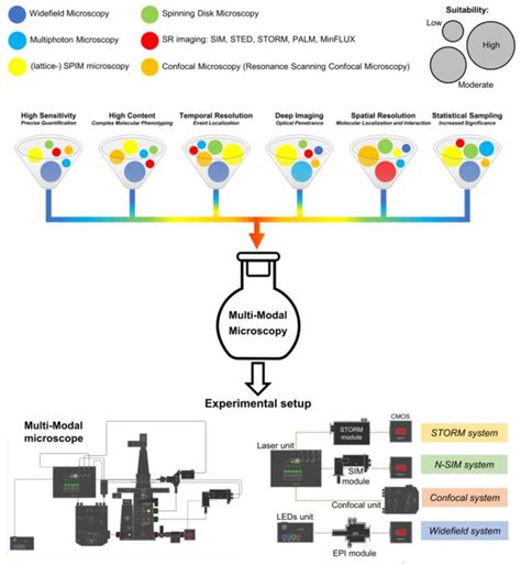 Correlative Multi Modal Microscopy Every Fluorescence Microscopy