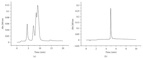 Hplc Purification Of Oligonucleotide 3 With Four Arms A Hplc Profile Download Scientific