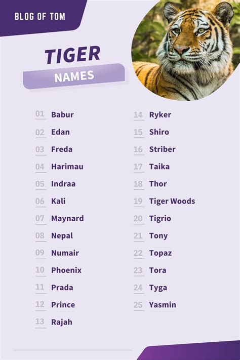 Tiger Names (999+ Best Male & Female Naming Ideas) | Names, Fantasy ...