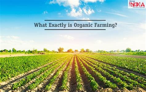 Organic Farming in India, Organic Farming Definition, Methods, & Benefits