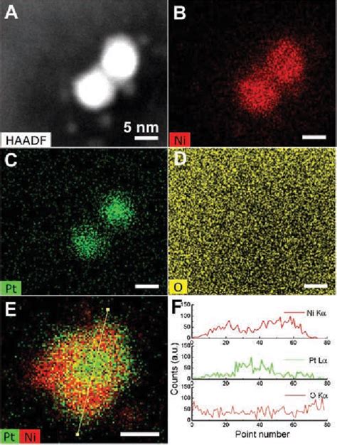 Figure 3 From Growth Mechanism Of Core Shell PtNi Ni Nanoparticles