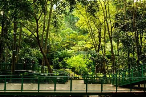 Kualitas Udara Kota Bandung Dalam Kategori Sedang Dlh Sarankan Warga