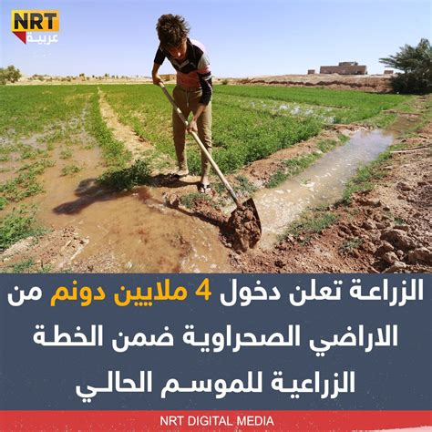 Nrt عربية On Twitter وزارة الزراعة اكثر من 4 ملايين دونم دخلت في