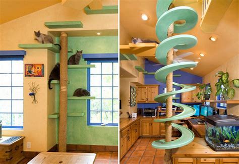 Man Spends 35000 To Turn His Home Into A Perfect Playground For His