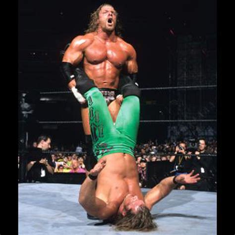 Hulk Hogan Vs Triple H