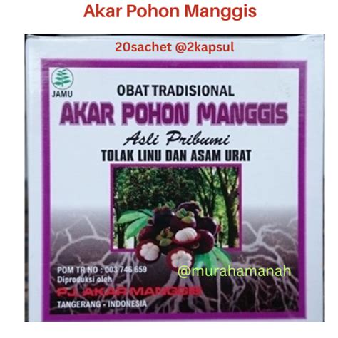 Akar Pohon Manggis Kapsul Asam Urat Ampuh Kapsul Akar Pohon Manggis