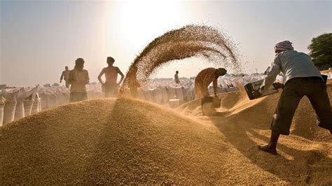 Govt Approves ₹1 Lakh Cr Food Grain Storage Scheme Fortune India