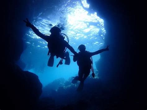 Okinawa Diving Tour - Private Tour Packages in Japan - Easy Travel