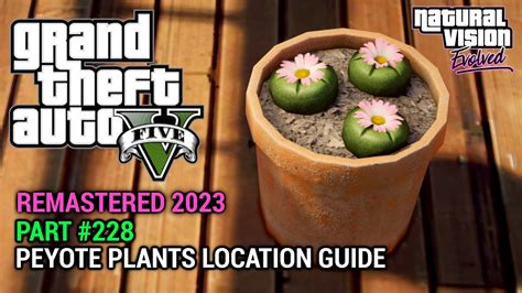 Gta Nve Gameplay Walkthrough Part Peyote Plants Location