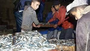 R Gions Mostaganem Plus De Tonnes De Poissons D Barqu Es En Une