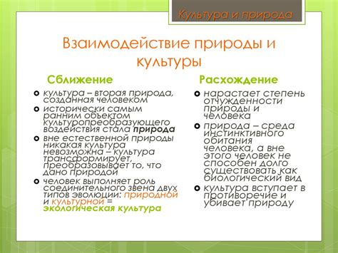 Культура и цивилизация - презентация онлайн