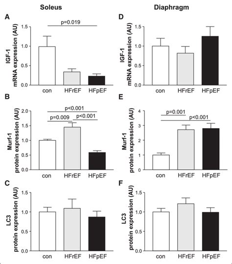 The MRNA Expression Of The Anabolic Factor IGF 1 A And D And The