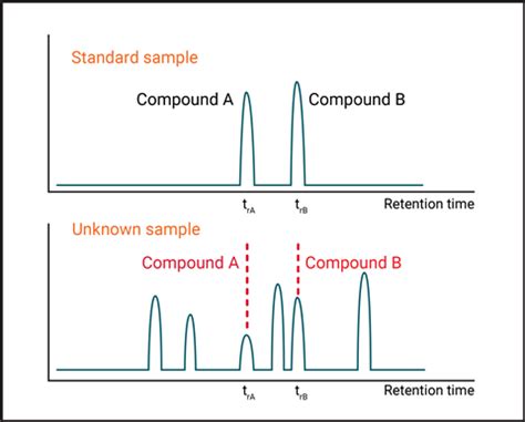 How To Teach Chromatography At Post Cpd Rsc Education