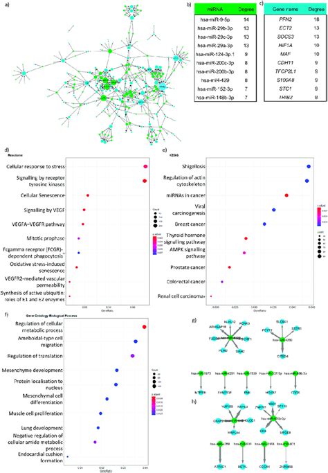 A Mirna Target Gene Network Using The Two Types Of Targetscan Network