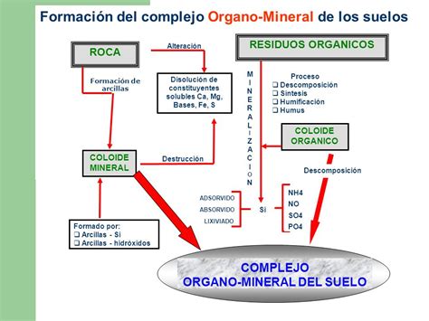 Fundamentos De La Ciencia Historia De La Ciencia Del Suelo