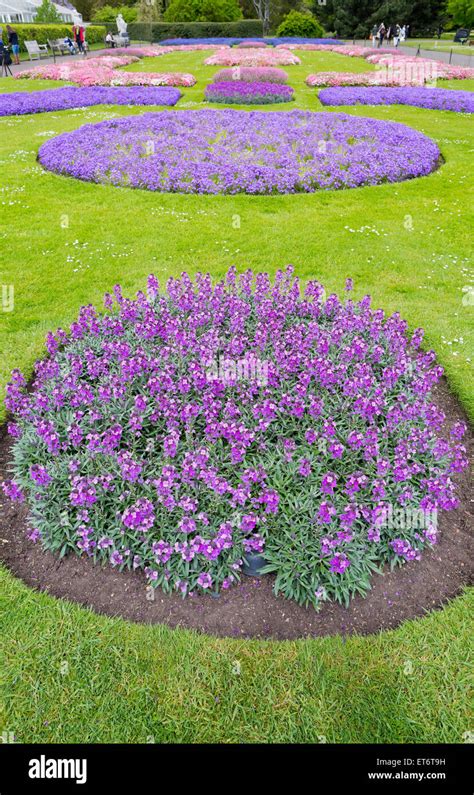 Ornamental Flower Bed Hi Res Stock Photography And Images Alamy