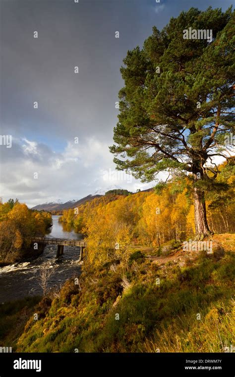 Scotland, Glen Affric Stock Photo - Alamy