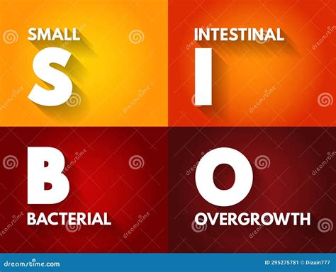 Sibo Small Intestinal Bacterial Overgrowth Is An Imbalance Of The