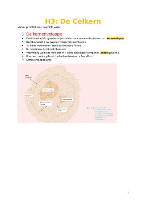 Hfdstk 3 De Celkern H3 Cytologie H3 De Celkern Bevat Genetisch